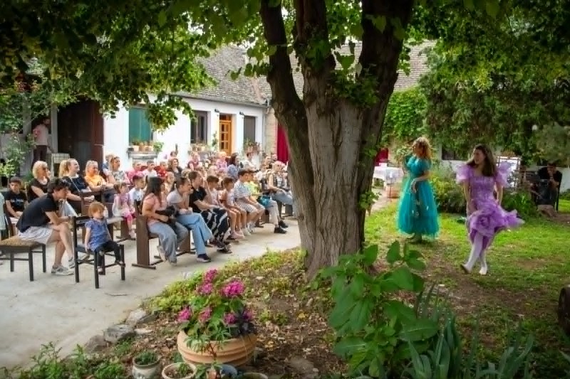 "Dramica u avliji" Doma Ocića: Putujuće pozorište „Ćira“ oduševilo najmlađe u Dalju 4 Bajka 4 Custom