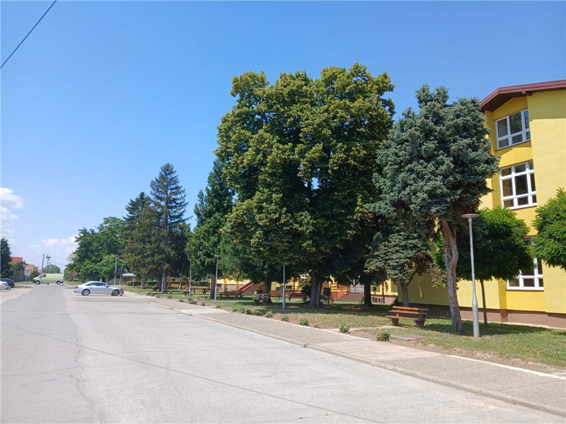 RASKRSCE TRG PALIH BORACA