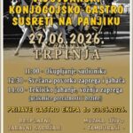Vidov konjogastro Custom