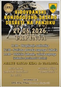 Vidov konjogastro Custom