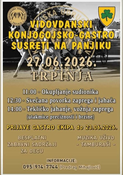 Vidov konjogastro Custom