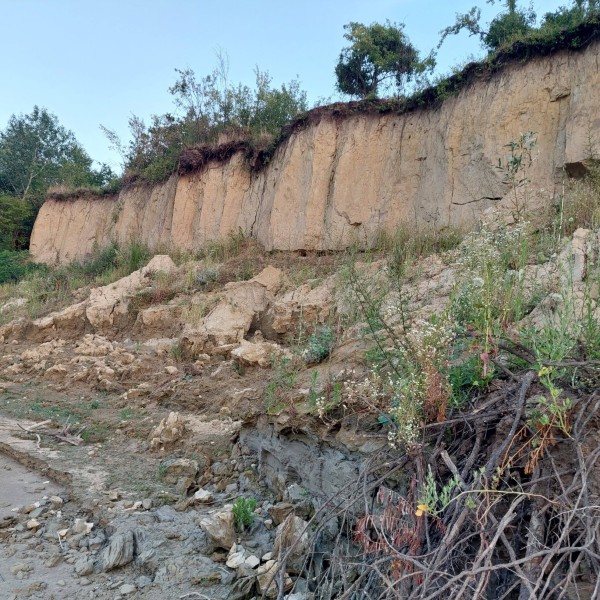 Na nalazištu Gradac pronađen deo lobanje nepoznate životinje 2 Gradac Custom