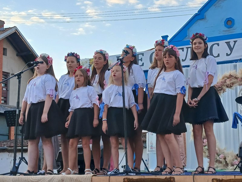 Vokalno-instrumentalni sastav "Venac" iz Borova proslavio prvi rođendan 2 viber slika 2026 07 13 13 50 42 634