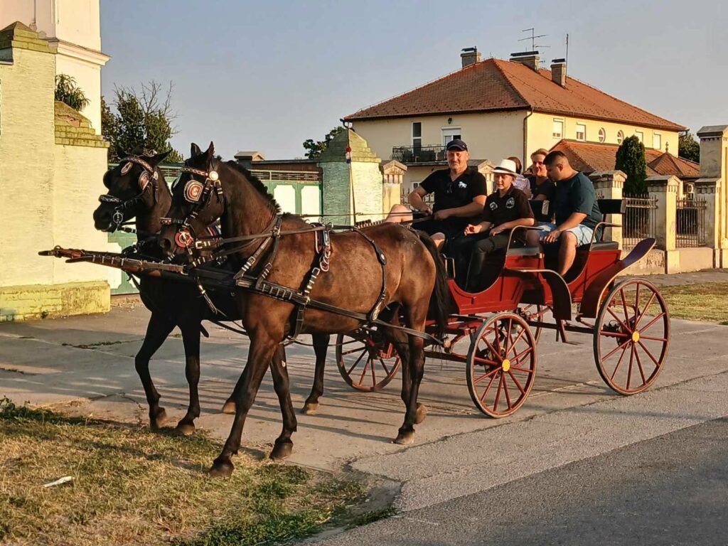 Tamburaško veče "Dunavom plovi tambura zvuk" u Borovu okupilo nekoliko stotina učesnika i posetilaca 8 zaprega