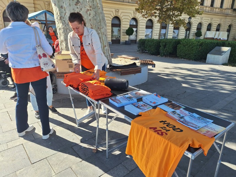 U Vukovaru održan 4. Hod za MS: Hodali za one koji ne mogu 3 Letci Custom