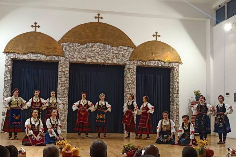 KUD BRANISLAV NUSIC BOROVO PEETROVO